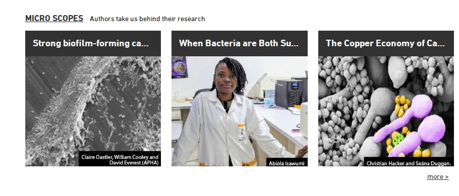 Micro Scopes band: three image tiles with author credits and a more link.